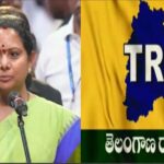 కవిత కొత్త పార్టీ: ‘తెలంగాణ రాష్ట్ర సేన’ ఆవిర్భావం